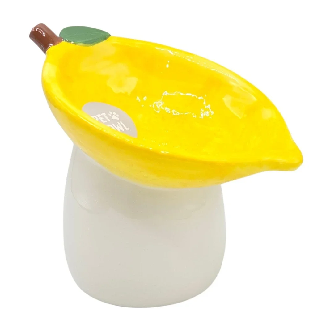Rockybear Pet Tilted And‎ Elevated Cat Drinking Water Bowl Lemon Pattern 6